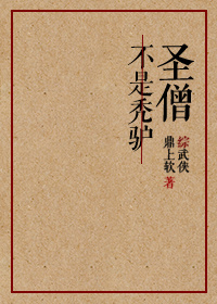 综武侠圣僧有女主吗