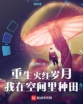 重生火红岁月,我在空间里种田