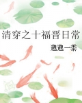 清穿之十福晋日常