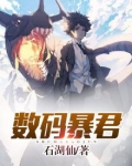 数码暴君 石湖仙