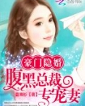 豪门隐婚:腹黑总裁专宠妻