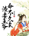 九王爷宠妻如命完整版