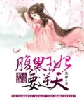 邪王追妻,腹黑王妃要逆天