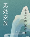 无处安放电视剧免费观看