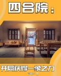 四合院开局获得一象之力的小说