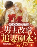 虐文女主摆烂后,男主改拿追妻剧本