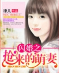 闪婚之抢来的萌妻