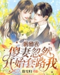 新婚夜,傻妻忽然开始套路我