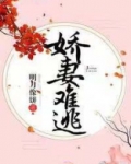 娇妻难逃