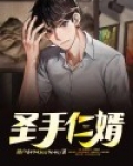 圣手仁婿