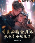 前妻请签字全文免费阅读白如故
