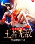 王者荣耀之王者无敌