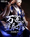 万道星辰录 聚合中文网