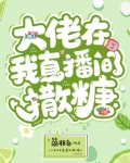大佬在当主播