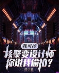 我可控核聚变设计师,你说我偷拍?