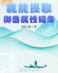 我能提取御兽属性词条笔趣阁