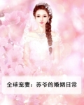 全球宠妻:苏爷的婚姻日常