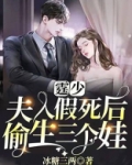 霆少,夫人假死后偷生三个娃