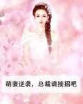萌妻逆袭,总裁请接招吧