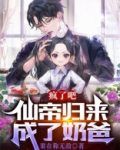 疯了吧,仙帝归来成了奶爸