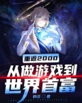 重返2000:从做游戏到世界首富