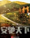 安驰天下