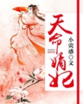 天命嫡妃