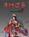 木叶过客