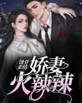 蚀骨柔情:娇妻火辣辣