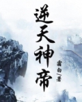 逆天神帝