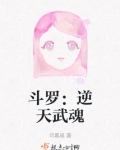 斗罗:逆天武魂