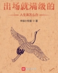 出场就满级的人生该怎么办