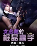 女总裁的极品高手