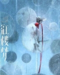 综影视之斗什么斗