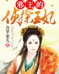 邪王的侦探王妃