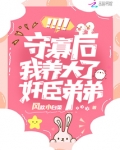 守寡后,我被病娇权臣诱婚了