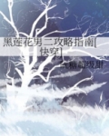 黑莲花男二攻略指南