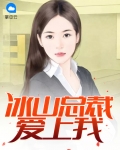 冰山总裁爱上我