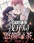 重生豪门后,我开局怒撕绿茶