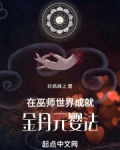 巫师世界成就金丹元婴法