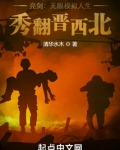 亮剑:无限模拟人生,秀翻晋西北
