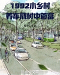 1992小乡村,养车成村中首富