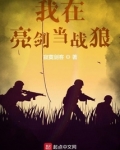 我在亮剑当战狼