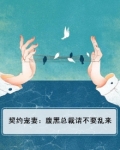 契约宠妻：腹黑总裁请不要乱来