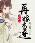 重生之再嫁未遂
