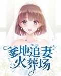 一胎三宝:爹地追妻火葬场