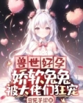 兽世好孕:娇软兔兔被大佬们狂宠小说