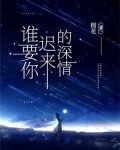 谁要你迟来的深情