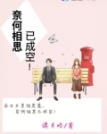 奈何相思已成空