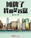 摊牌了我就是首富